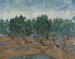 Olive grove by Vincent Van Gogh