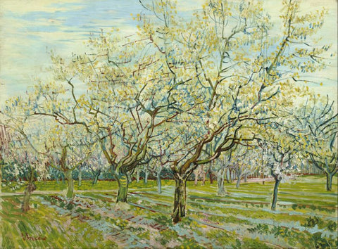 The White Orchard by Vincent Van Gogh